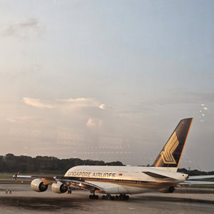 Pallette — Singapore Changi Airport