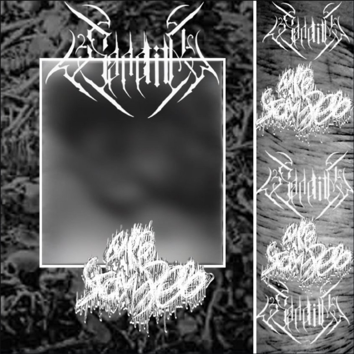 Split with Sanctity Curb Stomped