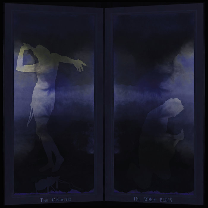 The Discretes - IN SORE BLESS album artwork