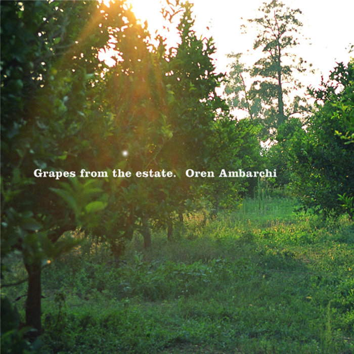 Grapes from the estate | Oren Ambarchi