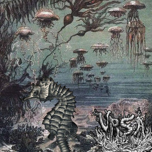 Saltwater Circadian (Single) cover