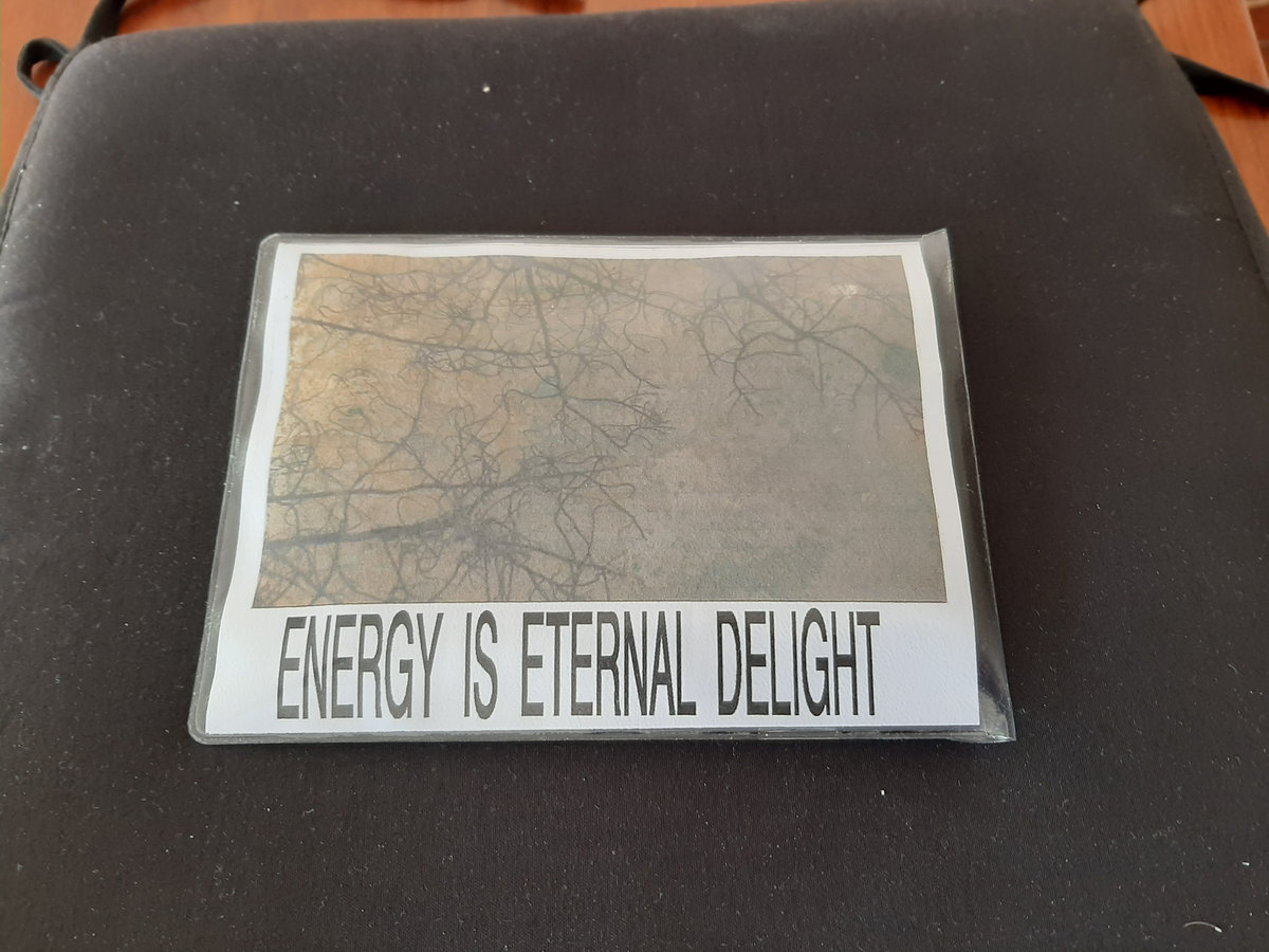 洋楽 Siegmar Fricke / A Thunder Orchestra Energy is Eternal Delight | Siegmar Fricke / A Thunder