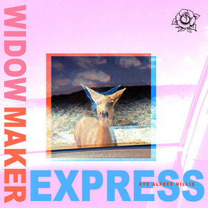 Widowmaker Express cover
