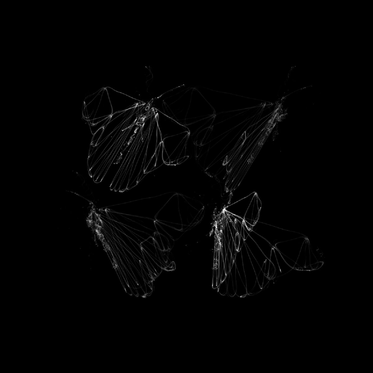 The Four Horsemen Of The Apocalypse Vectors Archive