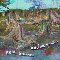 and so, we ran... cover art