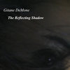 The Reflecting Shadow Cover Art