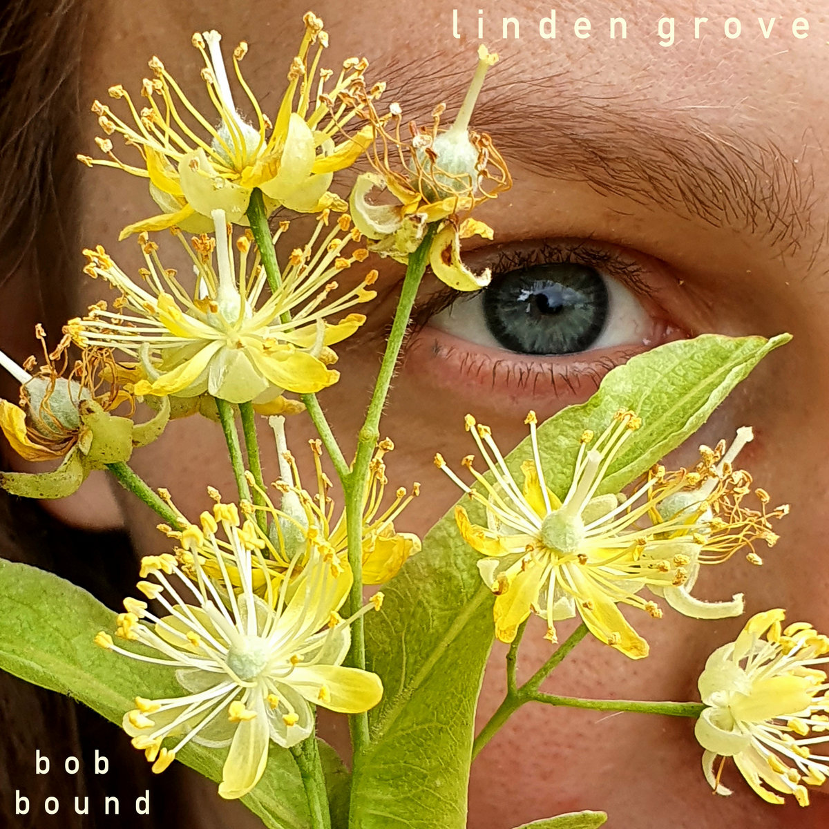 Linden Grove cover