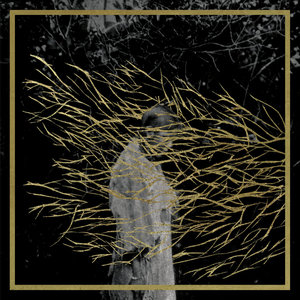 Engravings (Remastered) cover