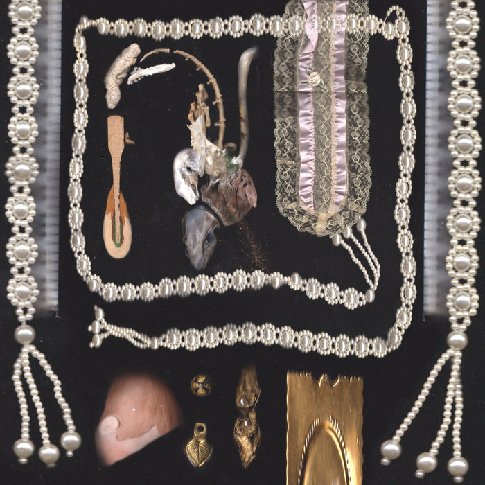 sedimentary flesh diary, by estuary..fragmentation