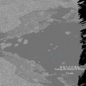 凝視白色的邊界 Gazing the Shades of White cover