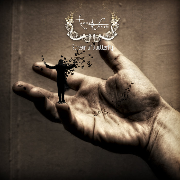 Scream of a Butterfly | Temple Of Strings