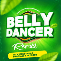 Belly Dancer (REMIX) cover art