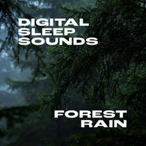 Forest Rain cover art