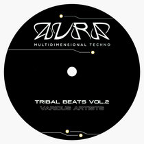 Various Artists — Tribal Beats Vol. 2