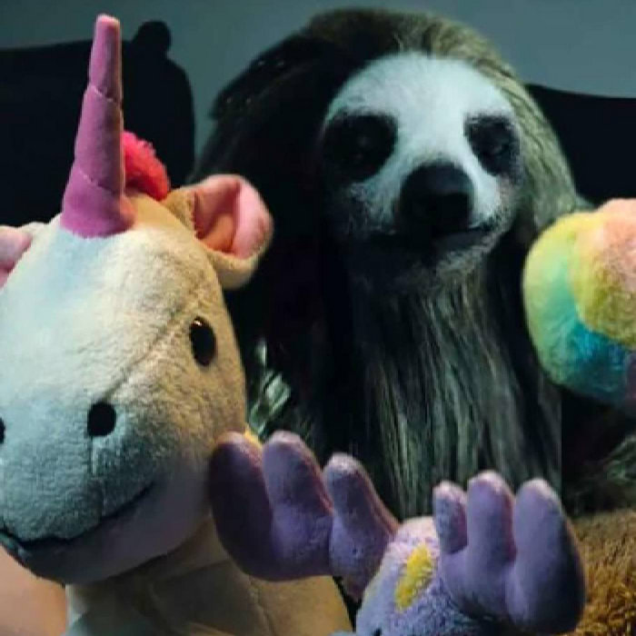 Regarder des ~Slotherhouse (2023)~ complets en français : Comment