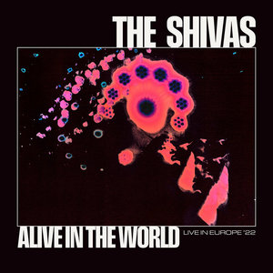 The Shivas — Alive in The World