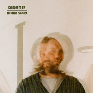 Didn't I? cover