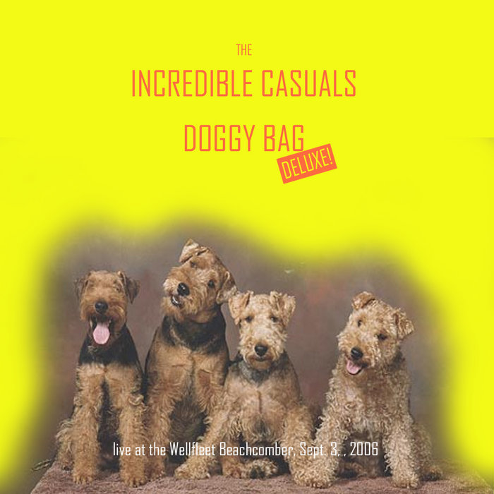 Uncontrollable Urge | The Incredible Casuals | Chandler Travis Philharmonic