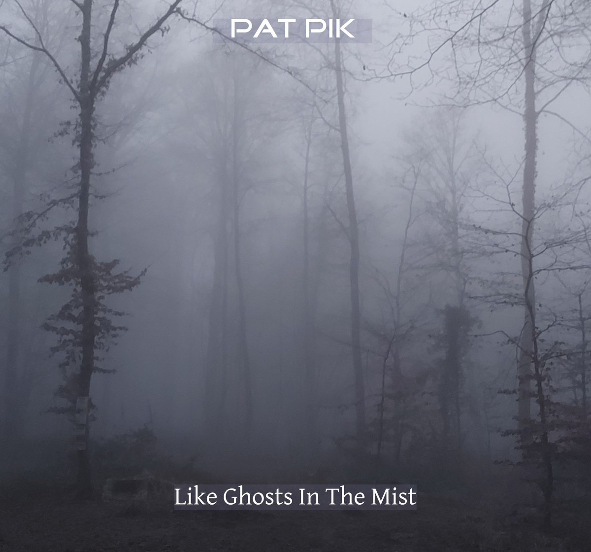 Like Ghosts In The Mist | Pat Pik