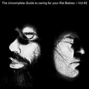 Rat Babies — The Uncomplete Guide to caring for your Rat Babies, Vol. #2