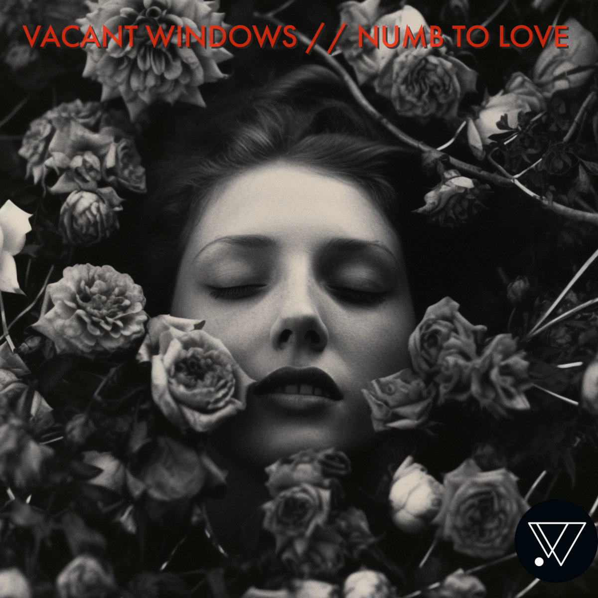 Numb To Love Vacant Windows numb-to-love-vacant-windows