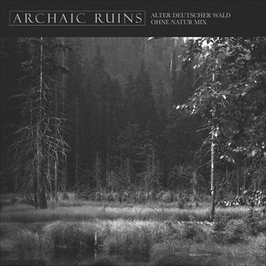 ALTER DEUTSCHER WALD (OHNE NATUR MIX) cover