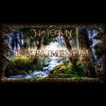The Forest Seasons Instrumental