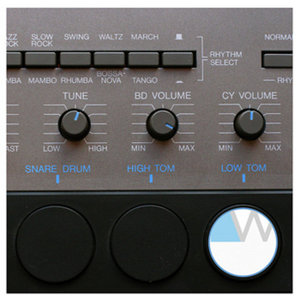 WS - MR10 Grey Matter cover