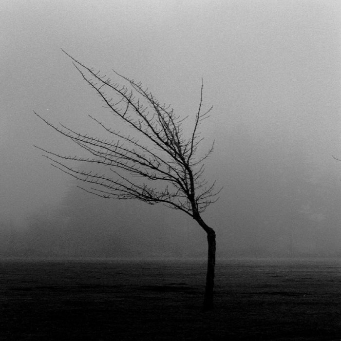 Wheel Of Torture Wheel Of Torture