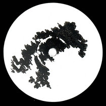 Squid — Remixes
