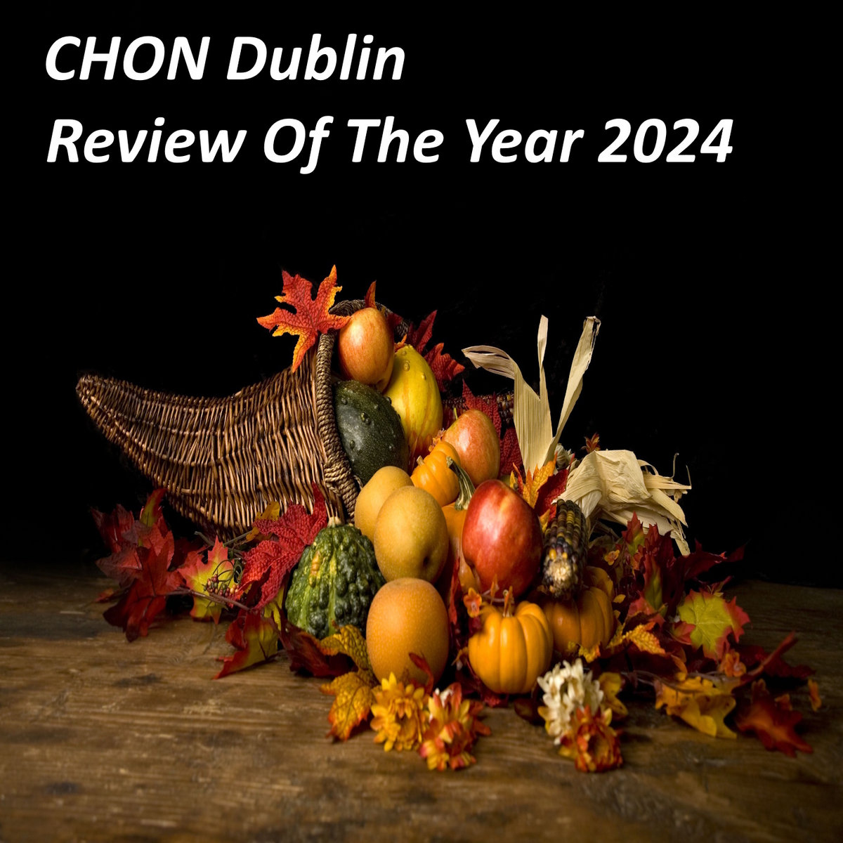 Review Of The Year 2024 cover