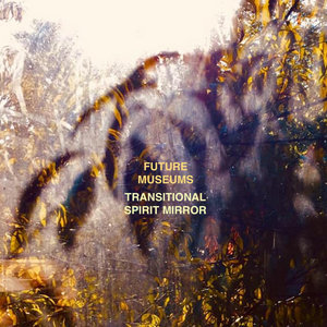 TRANSITIONAL SPIRIT MIRROR EP cover