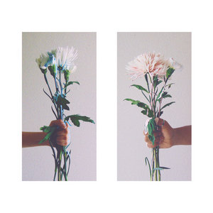 bloom cover
