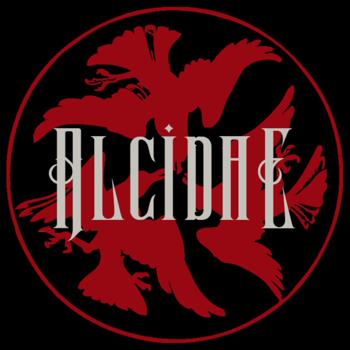 DEMO | Alcidae