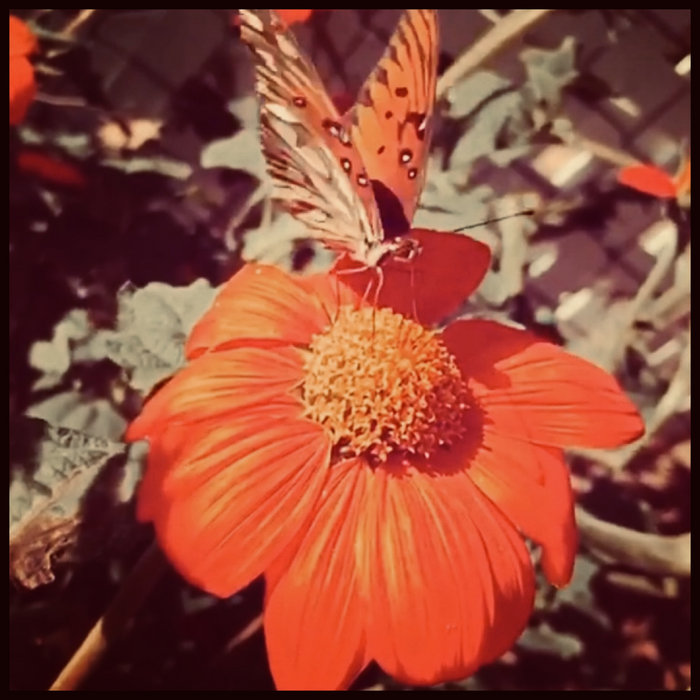 (9) excuse me, miss | Lauren Elizabeth Baba