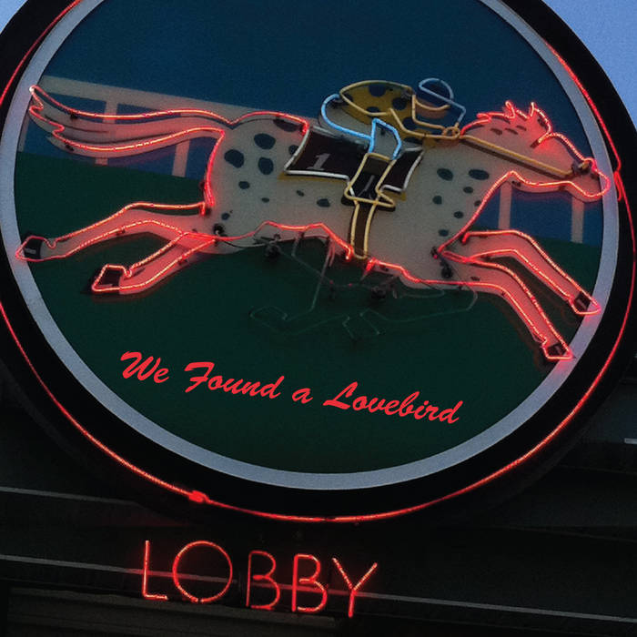 Lobby We Found a Lovebird