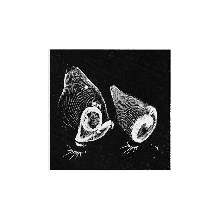 Stone Pine Nut / When Does the Everyday Become History? [CM28] | Mule ...