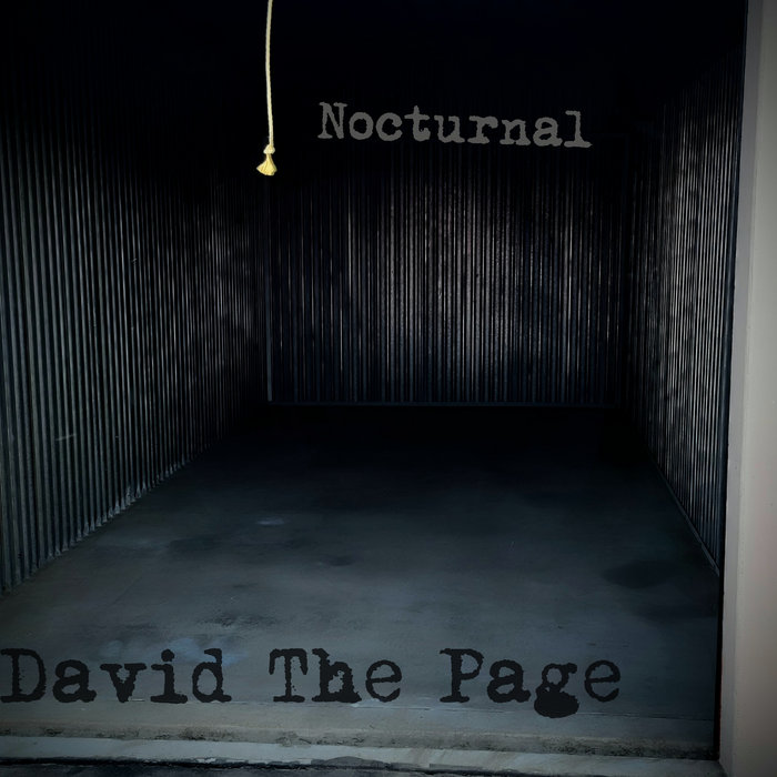 Nocturnal | Disjointed David