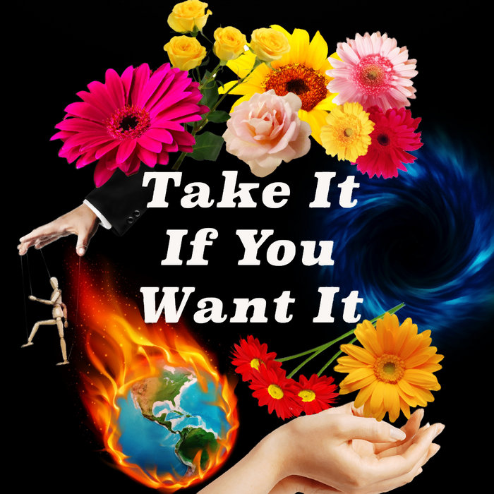 Take It if You Want It, by Shannon Curtis