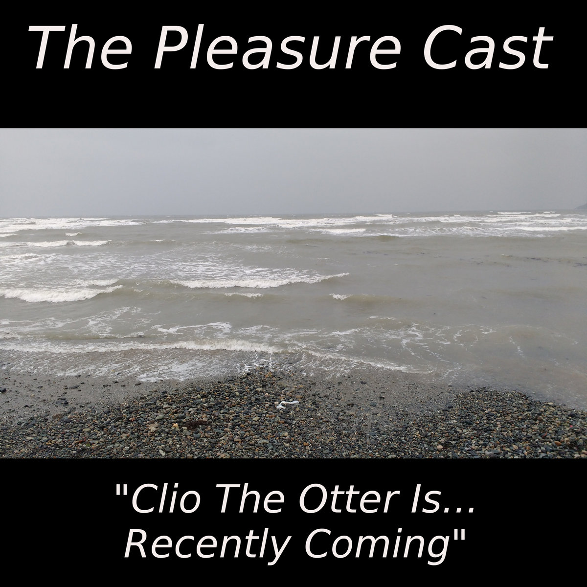 XLIII: Clio The Otter Is...Recently Coming cover