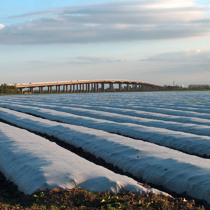 Plastic for Polytunnels Andrew Houghton