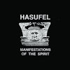 MANIFESTATIONS OF THE SPIRIT