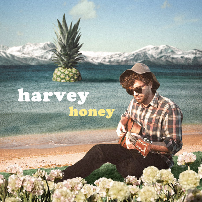 Honey Harvey