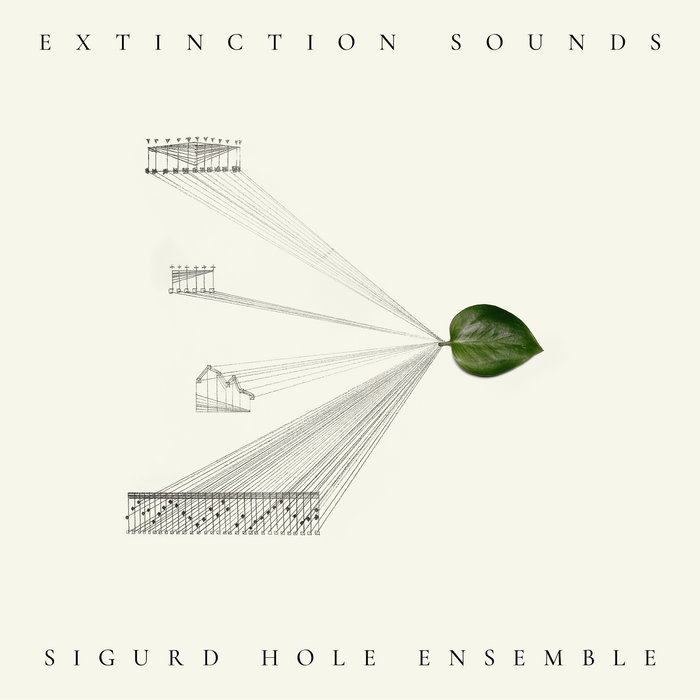 Extinction sounds
von Sigurd Hole ensemble