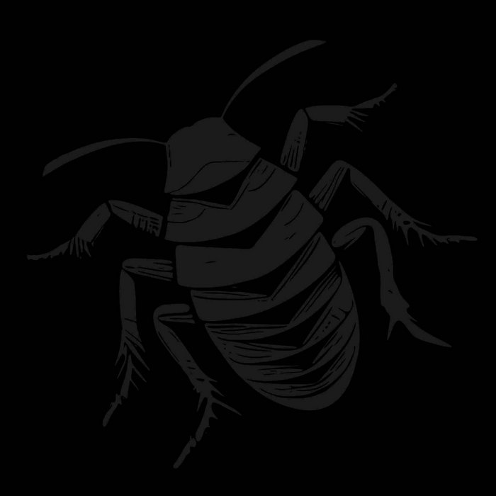 Roach Squad | Roach Squad | Rad Girlfriend Records