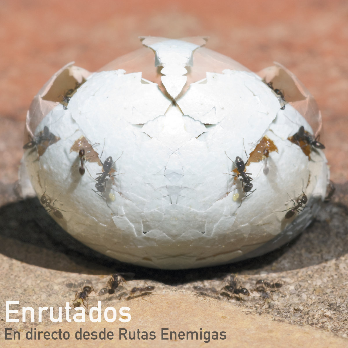 "RUTAS ENEMIGAS" #345 - Página 4 A2284255322_10