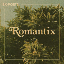 Romantix cover art