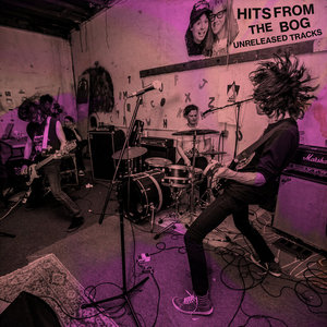 Hits from the Bog (Unreleased Tracks) cover