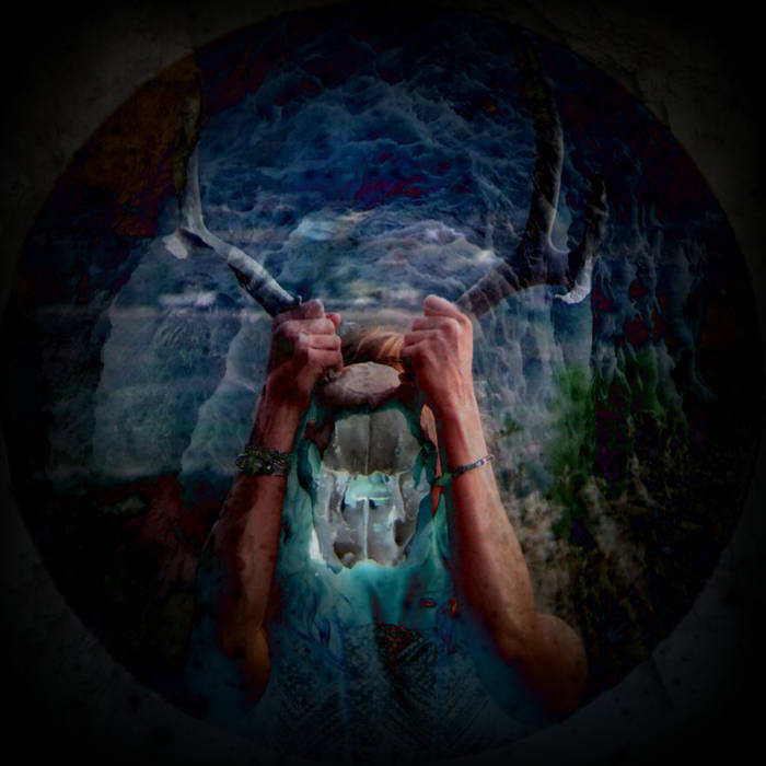 New moon streaming free sales