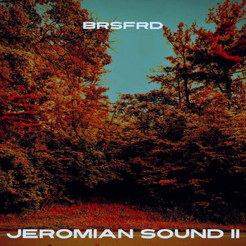 Album artwork for Jeromian Sound II